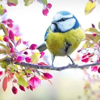 eye catching life cutest dp for whatsapp